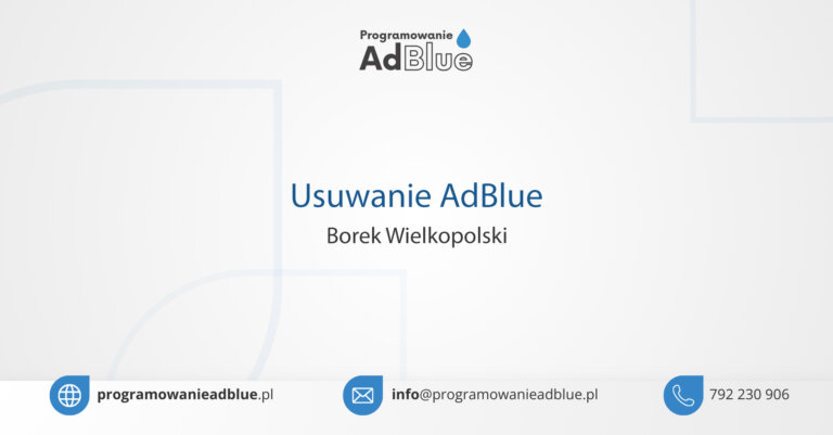 Programowanie AdBlue Borek Wielkopolski