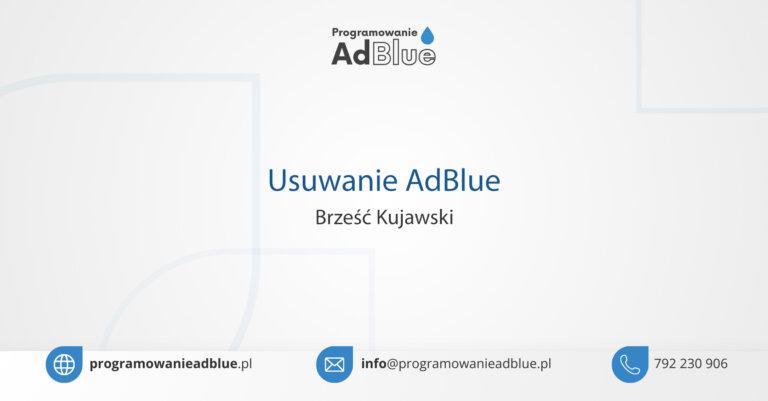 Programowanie AdBlue Brześć Kujawski