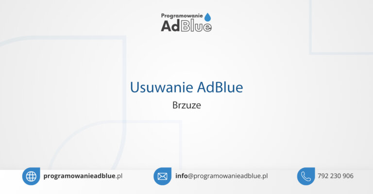 Programowanie AdBlue Brzuze