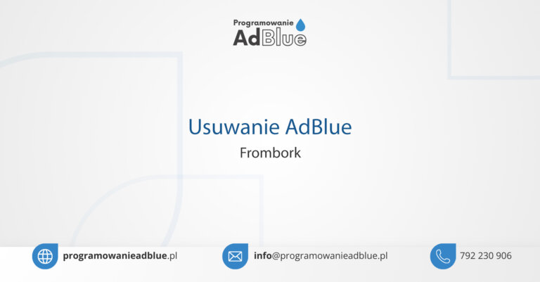 Programowanie AdBlue Frombork