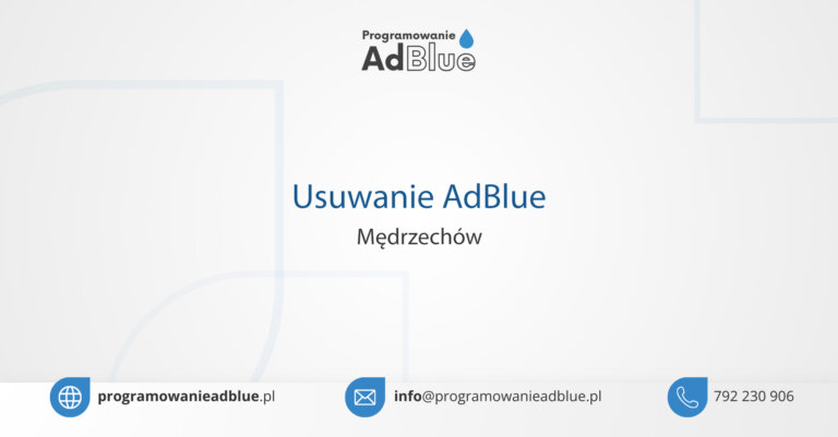 Programowanie AdBlue Mędrzechów