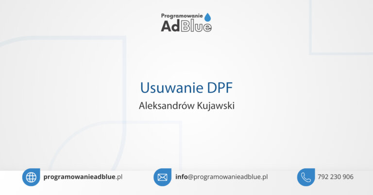 Usuwanie DPF Aleksandrów Kujawski