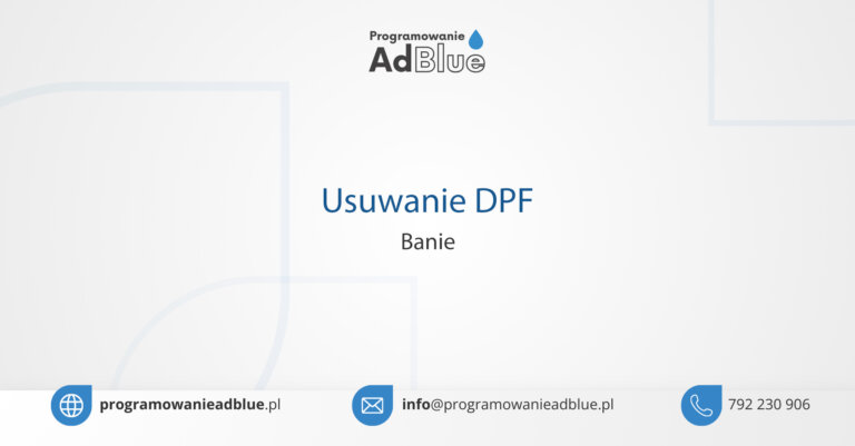 Usuwanie DPF Banie