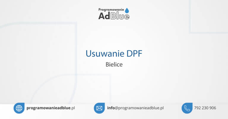 Usuwanie DPF Bielice