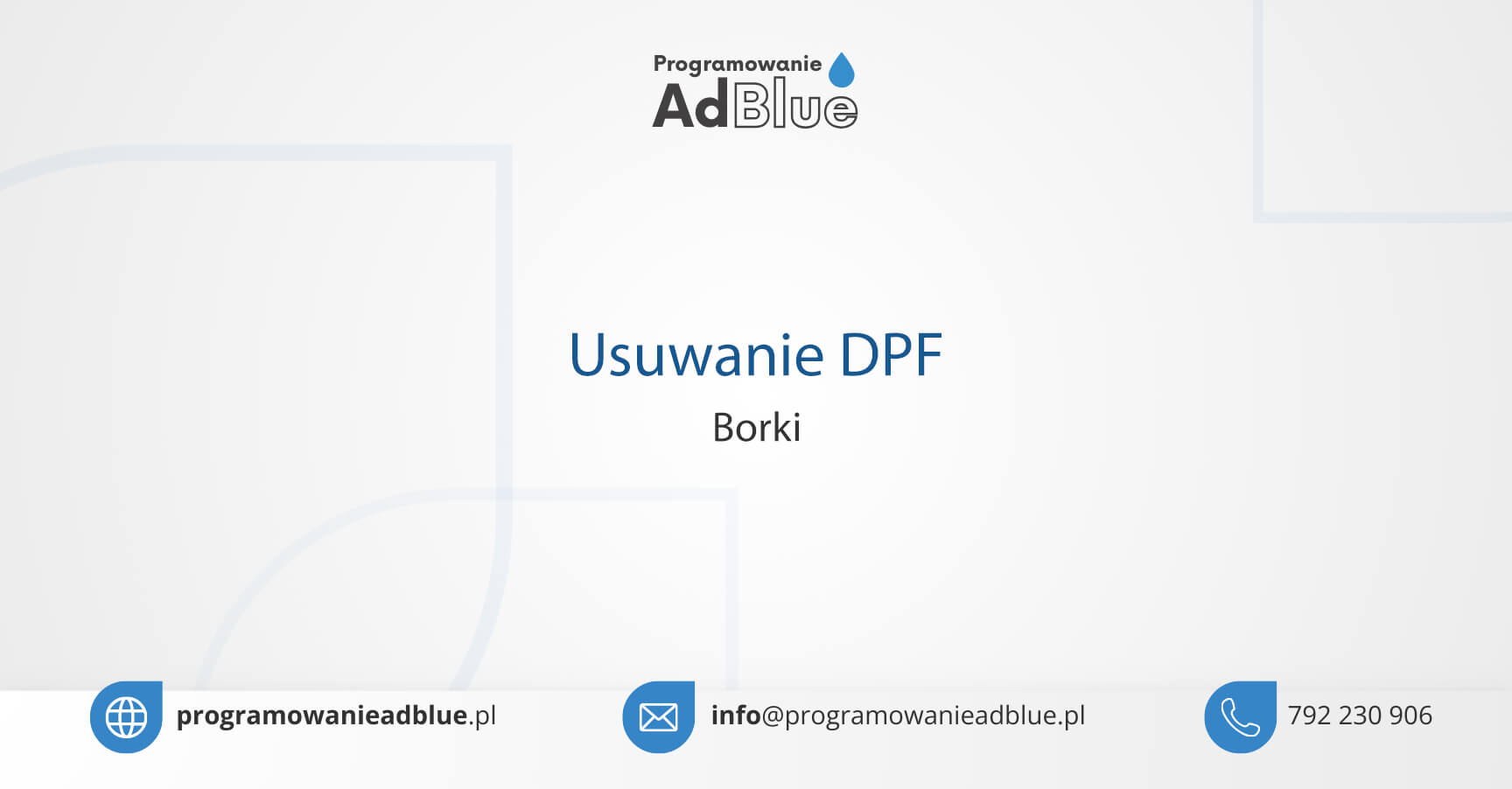 Usuwanie DPF Borki