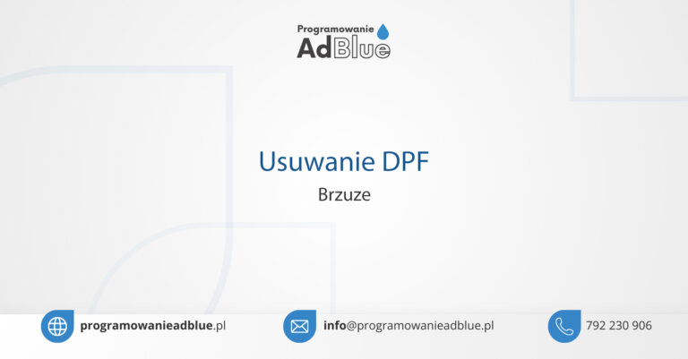 Usuwanie DPF Brzuze