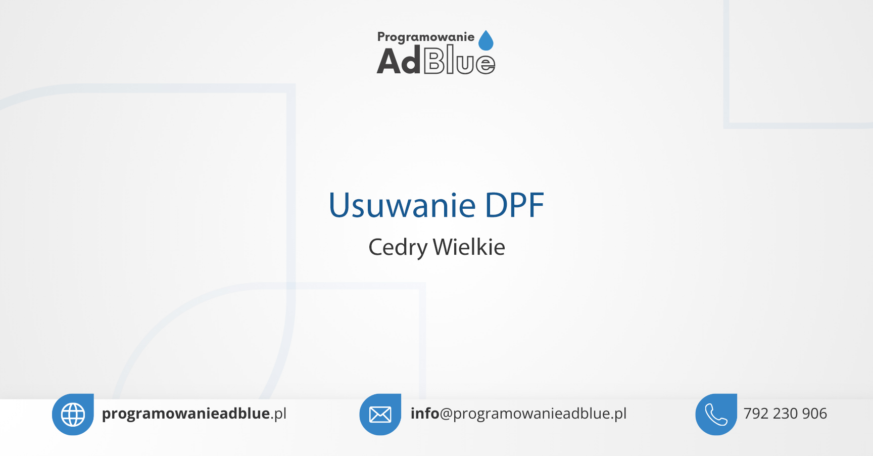 Usuwanie DPF Cedry Wielkie