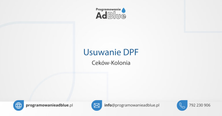 Usuwanie DPF Ceków-Kolonia