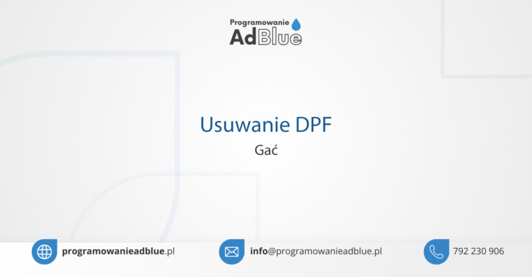 Usuwanie DPF Gać