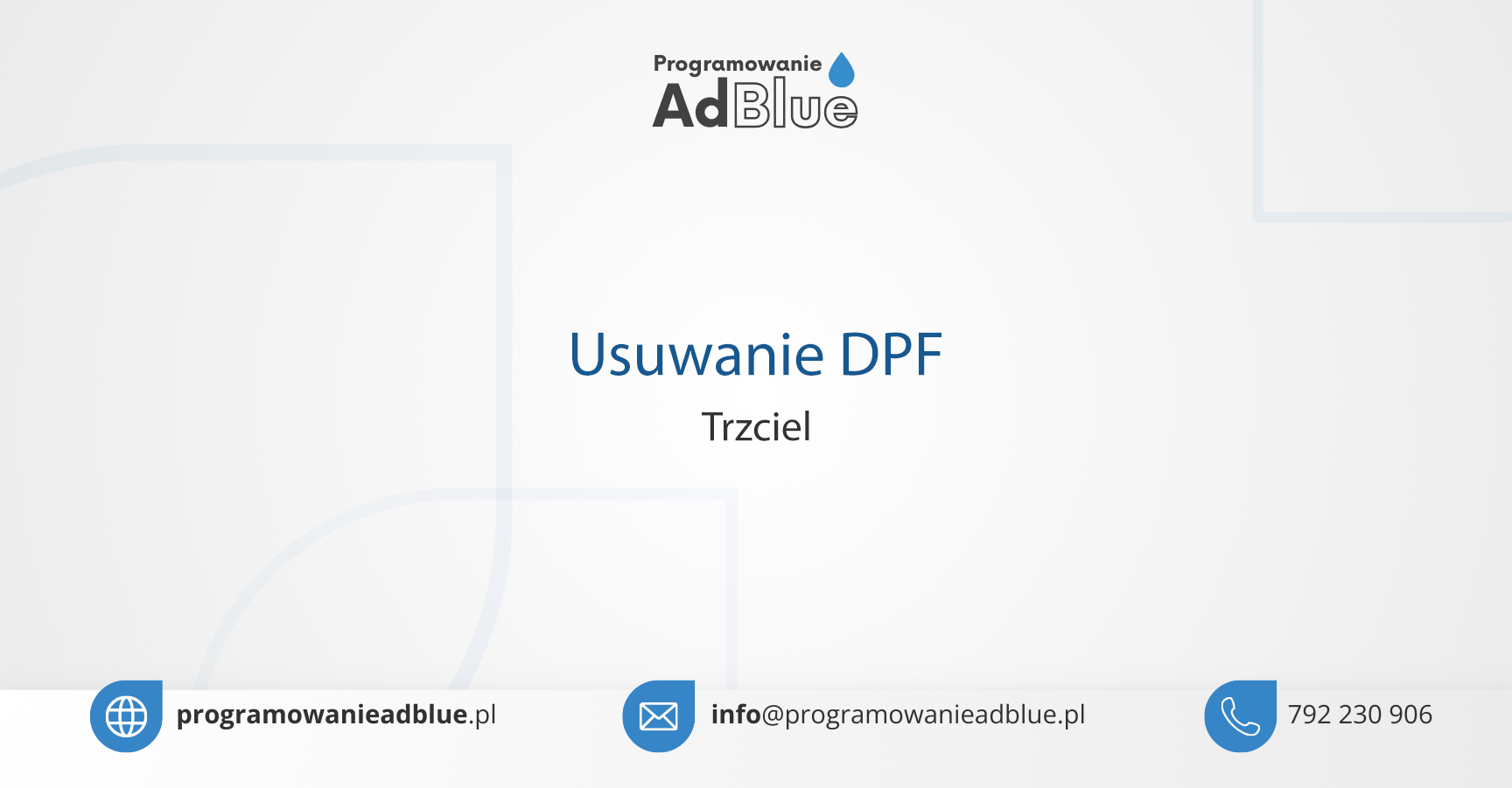 Usuwanie DPF Trzciel