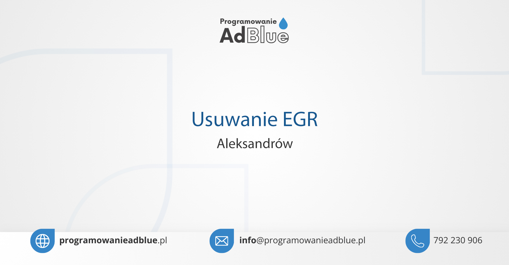 Usuwanie EGR Aleksandrów