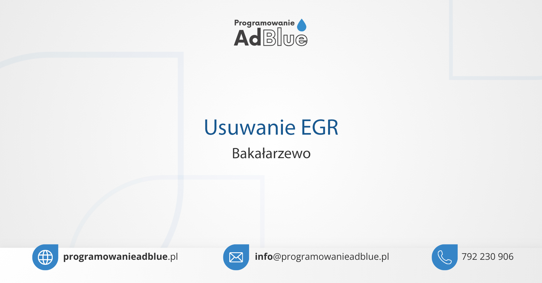 Usuwanie EGR Bakałarzewo