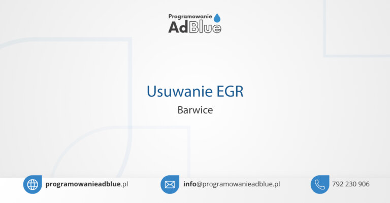 Usuwanie EGR Barwice