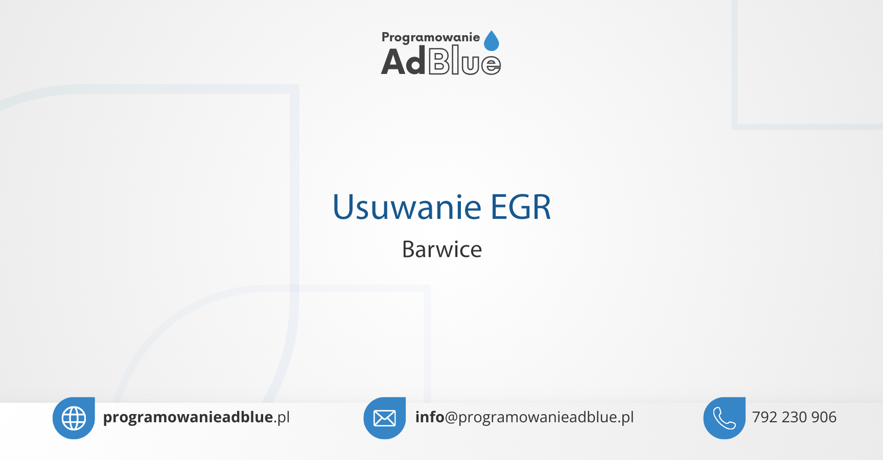 Usuwanie EGR Barwice