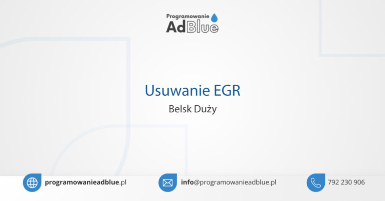 Usuwanie EGR Belsk Duży