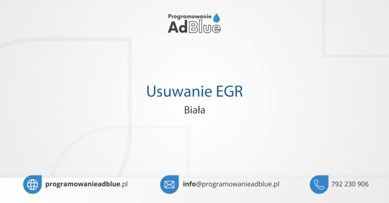 Usuwanie EGR Biała