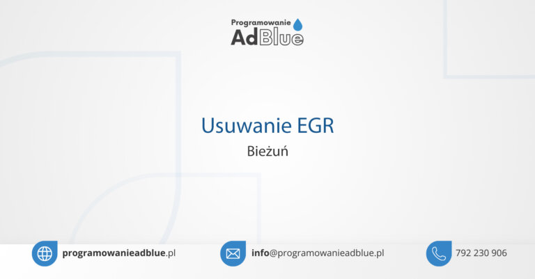 Usuwanie EGR Bieżuń