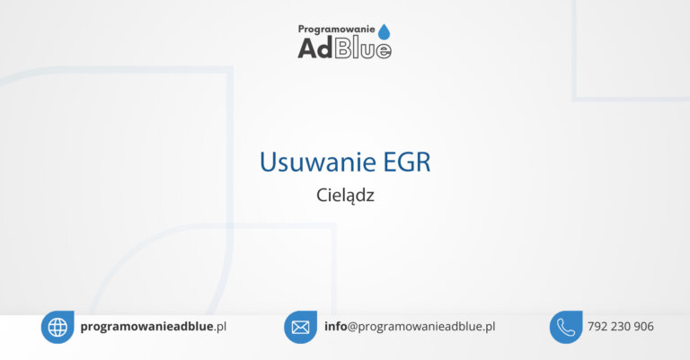 Usuwanie EGR Cielądz