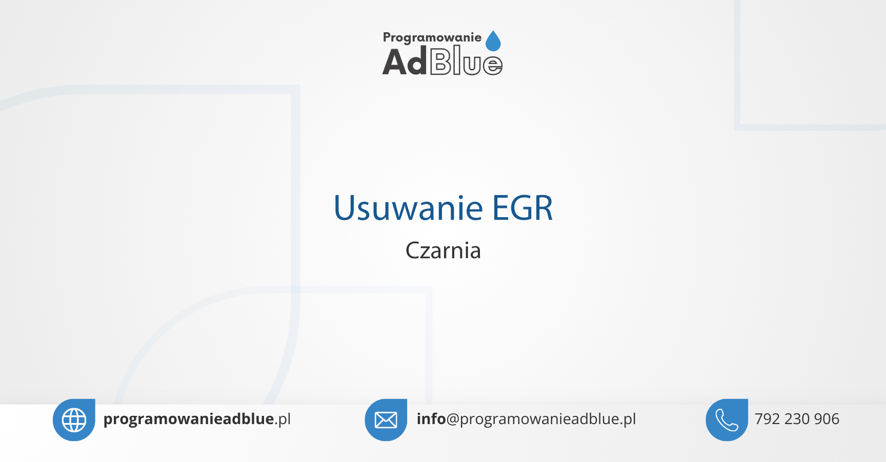 Usuwanie EGR Czarnia