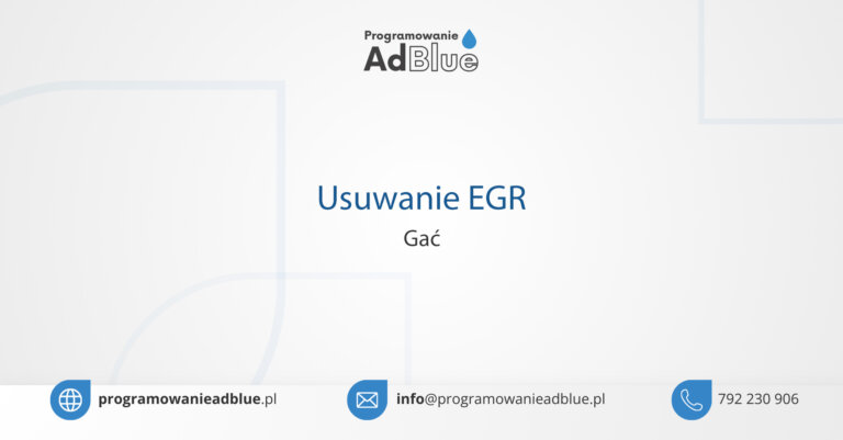 Usuwanie EGR Gać