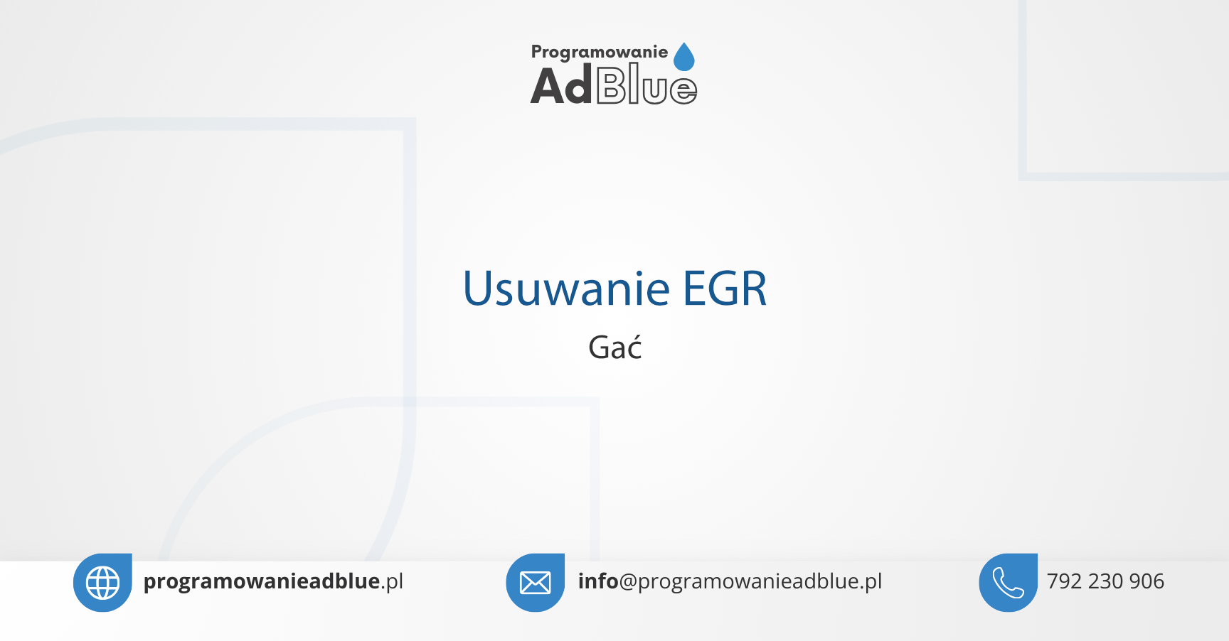 Usuwanie EGR Gać