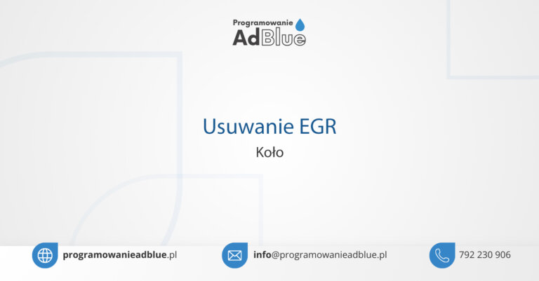 Usuwanie EGR Koło